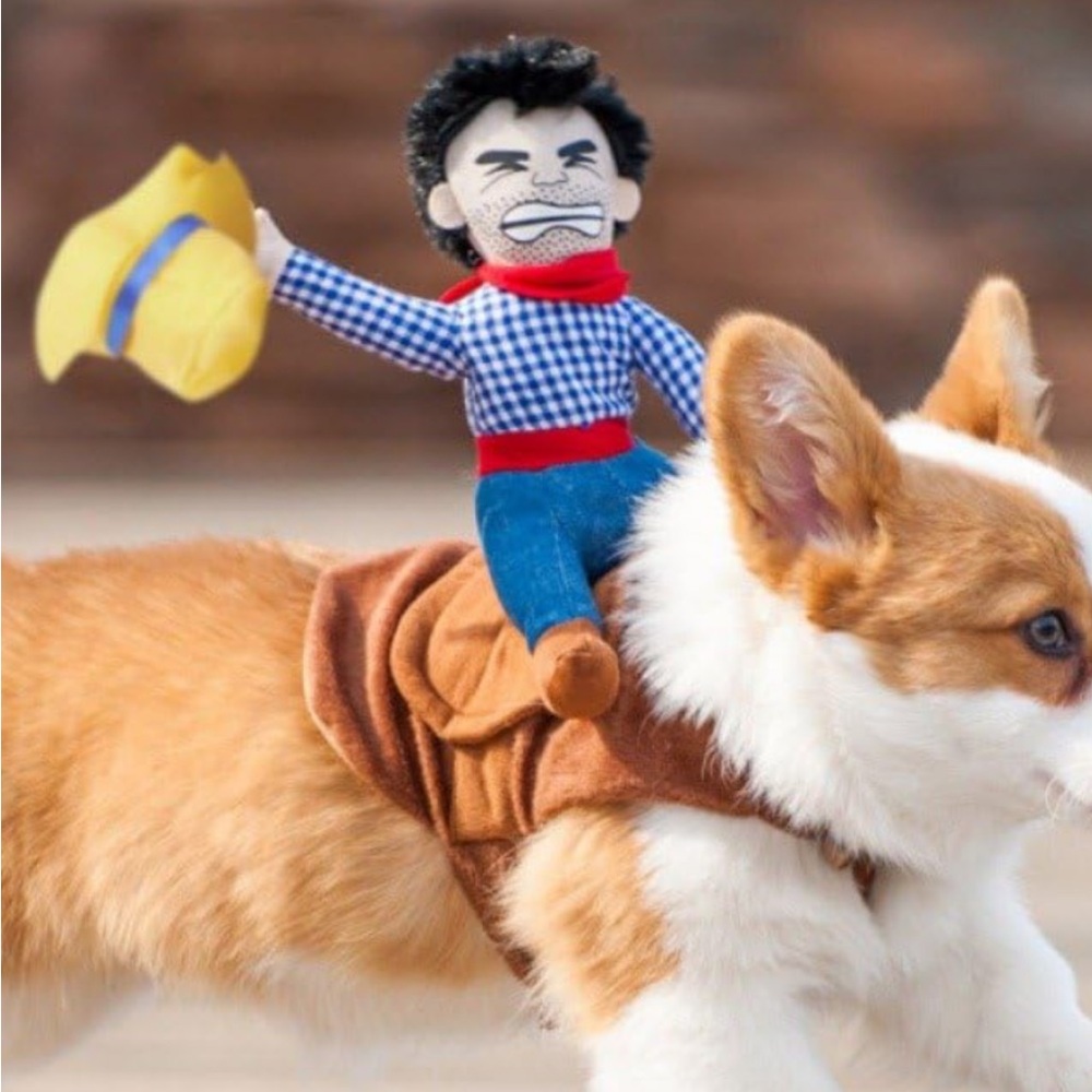 Pet costume. Ride Em Cowboy! Never worn. Size XL